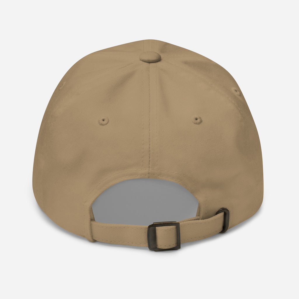 Wizard Frog Dad Hat, Magical Wizard