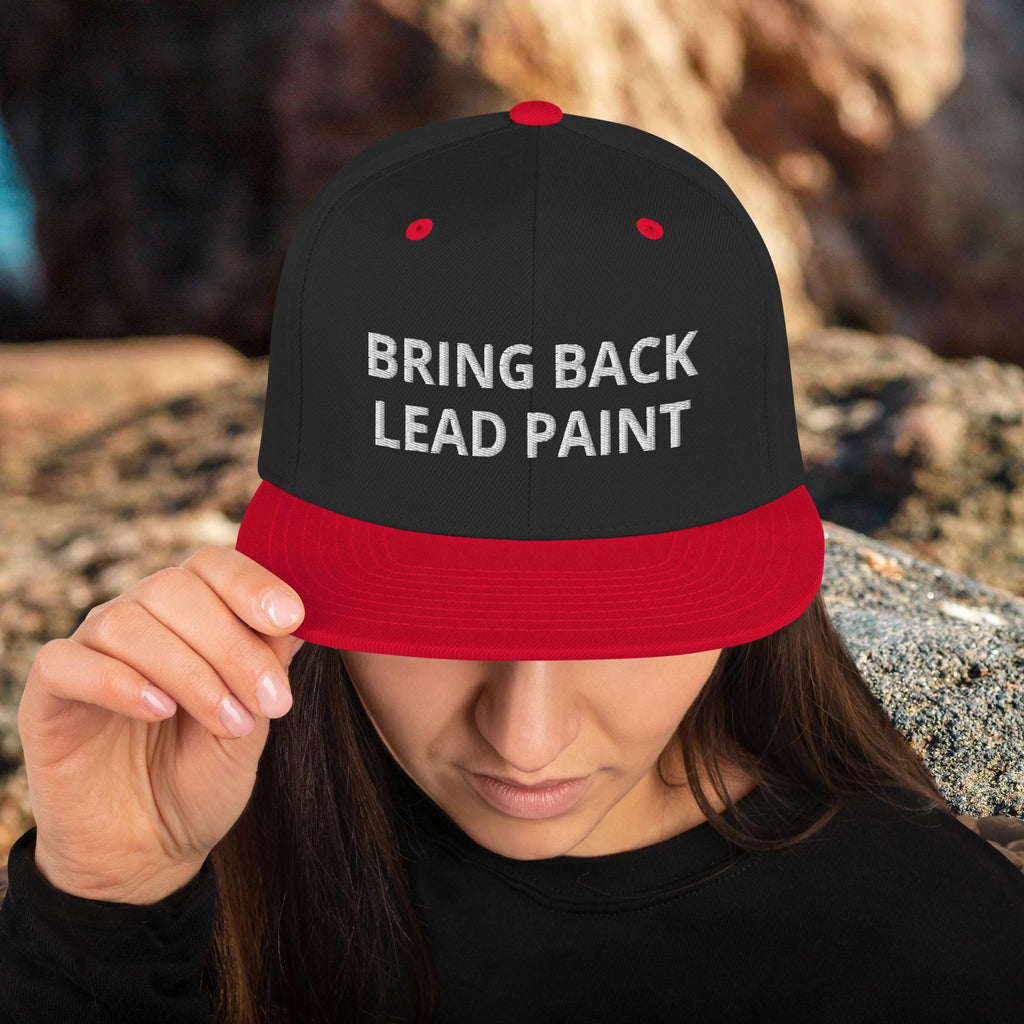 High quality red embroidery on 'Bring Back Lead Paint' snapback. Flat visor view