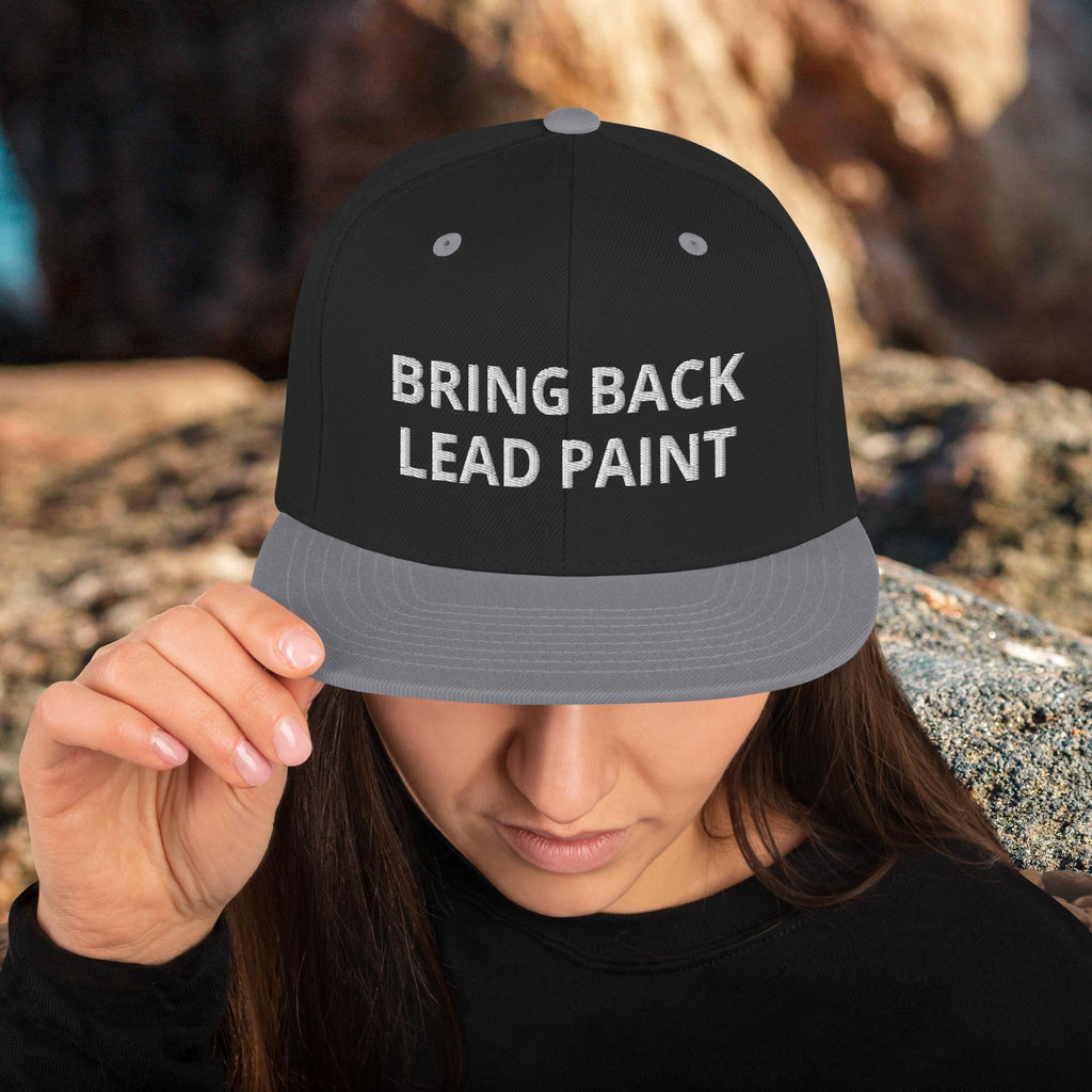 High quality black-silver embroidery on 'Bring Back Lead Paint' snapback. Flat visor view